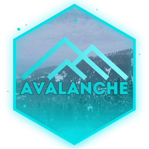 Avalanche PvE/PvP Zones┃Koth┃AirDrop┃3D-Printing┃BitCoin